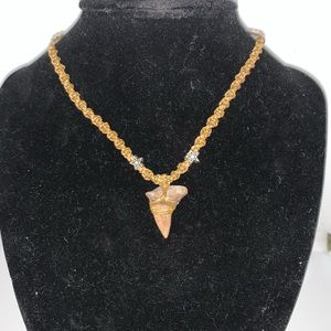 Free shipping-Fossilized Thresher Shark tooth necklace
